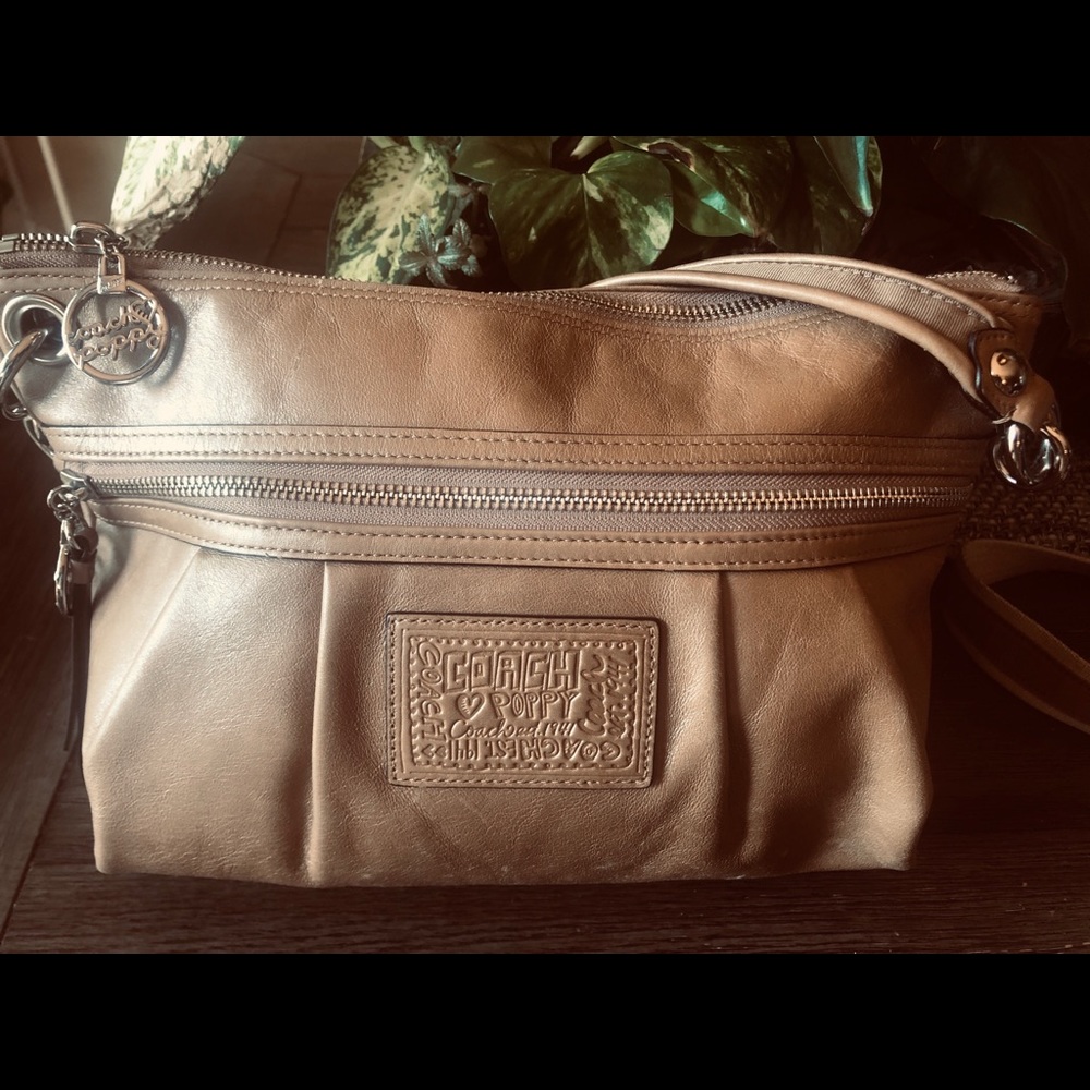 Super adorable coach poppy